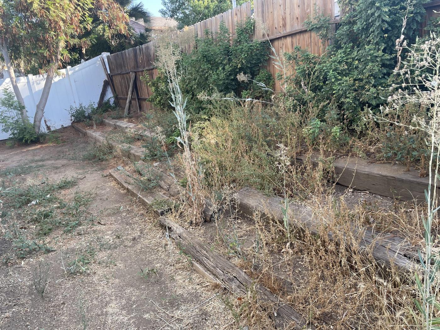 General clean up landscape work