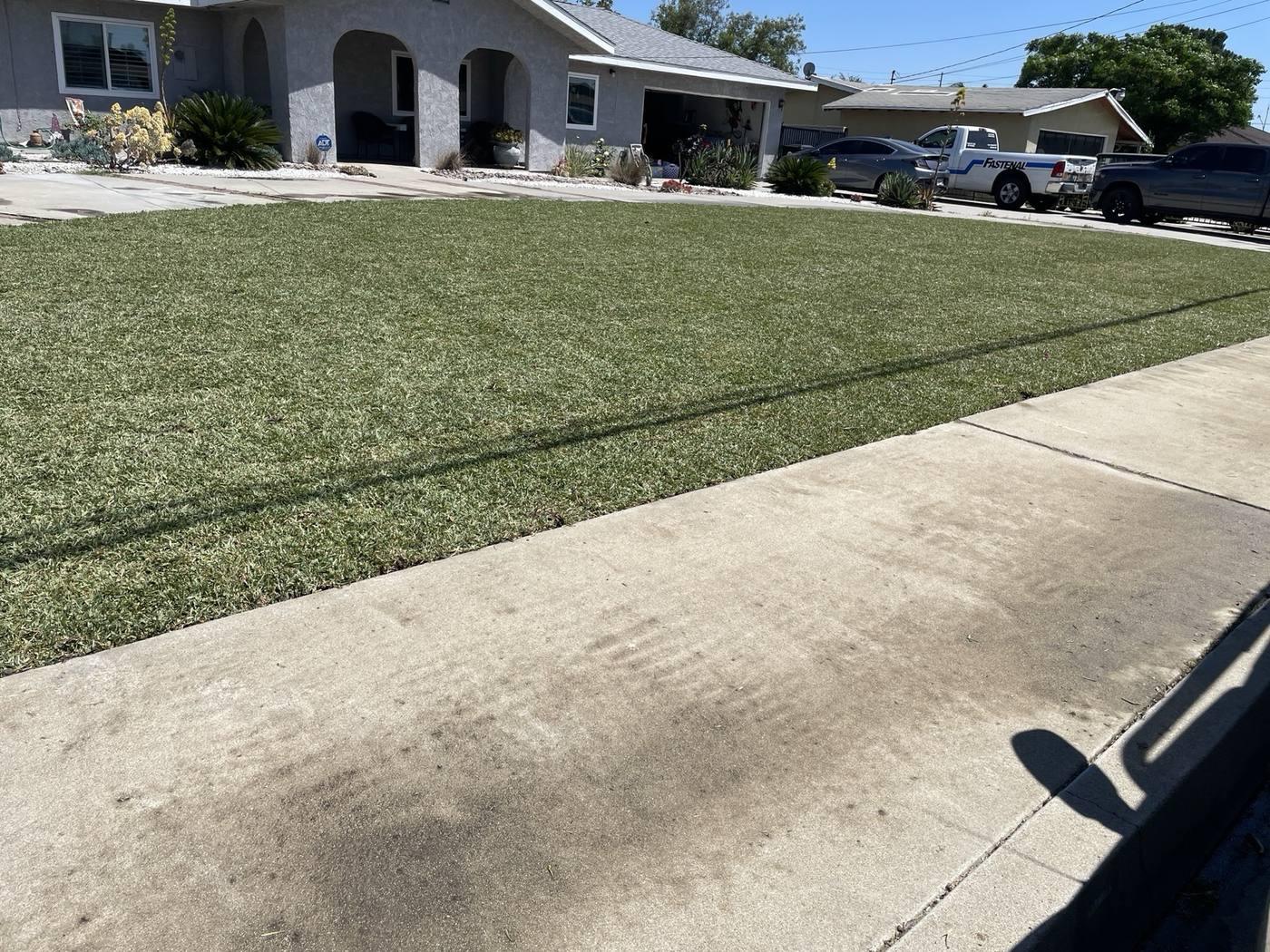 Landscape project with yard improvements