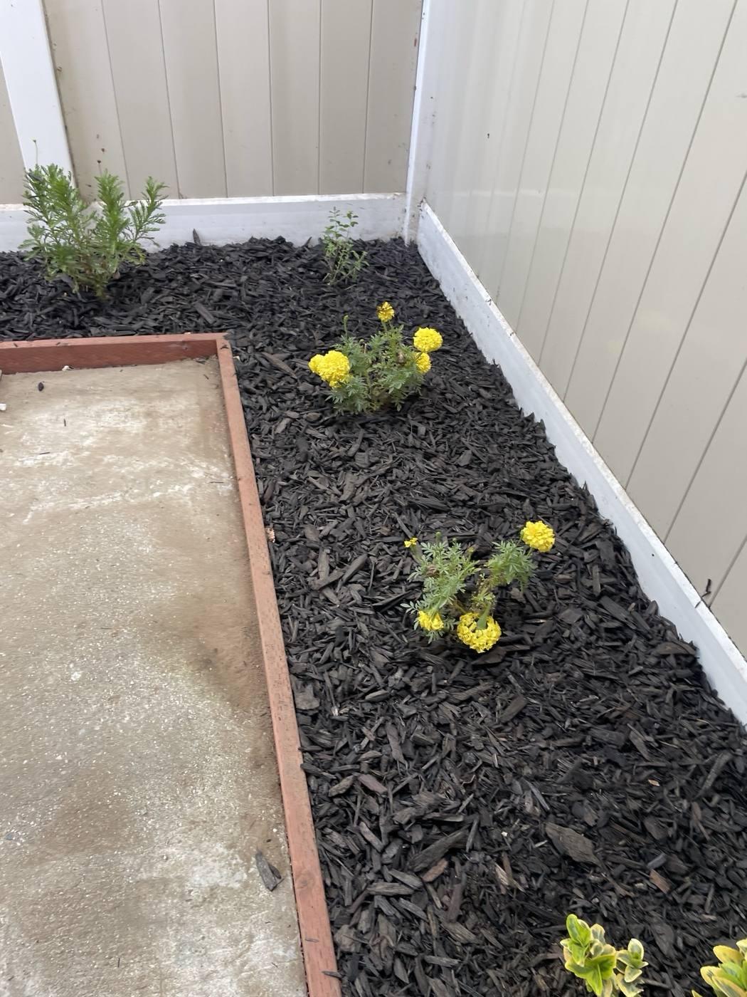 Landscaping and ground cover work